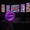 [241224] 플라워 25th 콘서트 후기🎄 이미지