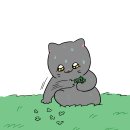 영철이네 이미지