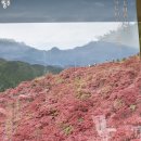 기산카 네이버블로그
