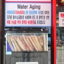숙성돼지 90 네이버블로그