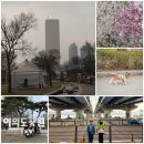 가족공원의새벽 | 여의도 한강공원 새벽 러닝 후기ㅣ가족 트래킹 + 중앙해장 아침 맛집까지