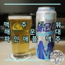 쌍쌍과채 | *해운대(Haeundae Beach Ale) 과일 맥주 후기, 씁쓸하게 진지하려하는 사회 초년생의 맛을 리뷰