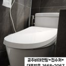 공주비데 이미지