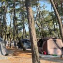 태안별빛오토캠핑장 이미지