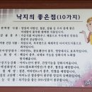 부산조방낙지속초점 이미지