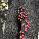 덕안근린공원 이미지