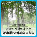 영남대역 이미지