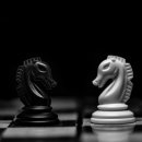 은하부동산중개 이미지