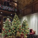 석남도서관 | 크리스마스트리 포토존이 있는 석남동 거북주택 카페 내돈내산