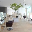 THE DOG SALON 이미지