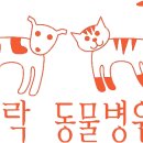 은빛동물병원 이미지