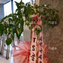 TS(티에스)스크린 골프 이미지