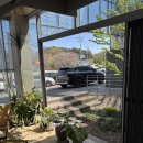 대덕로 | 충남 당진 샌드위치 맛집 카페 로로 LOLO