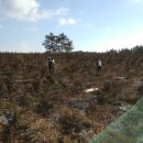 내사농장 이미지