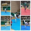 경희대 석사 바른태권도 네이버블로그