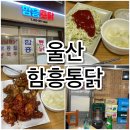 현대통닭 | [울산] 울산 북구 생활의 달인 치킨 맛집! 함흥통닭 후기!! 방문 &amp; 포장 후기(반반치킨 &amp; 통집튀김)