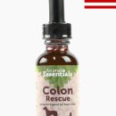 세인트벨 인터내셔날 이미지