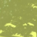 아라 하우스 이미지