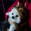 포포앤미루 강동점 이미지