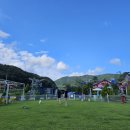 라라랜드 애견 펜션 | <말티츄 폼피츠 가족> 경주 강아지펜션 라라랜드애견펜션 내돈내산후기