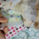 성림메디칼