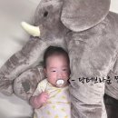 닥터브라운 NEW 에어벤트 실리콘 아기 쪽쪽이 1단계 실사용 후기