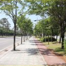 술바위교차로 이미지