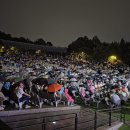 숲속의 오케스트라 이미지