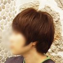 헤어염색전문점 - 영주시 | 헤어염색전문점