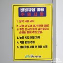 서하숯불구이 | 드디어 나도 가봤다 강씨봉 자연휴양림 떡갈나무 2박 후기