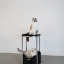 [Product Story] 스너거스의 시그니처 캣타워, 모노 314 (1)
