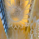 수상클럽 하우스 이미지