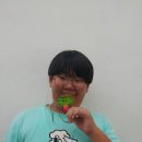 서울미성초등학교 이미지