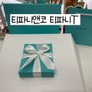 스테디앤코