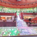 휴(休)춘천역 | 춘천 여행 코스 국립춘천박물관 실감영상카페