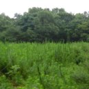 용연동마을회관 이미지