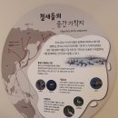 꽁이 - 동구 해동로 21 | 꽁이