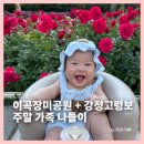 아기 주말 나들이 , 이곡장미공원 + 강정고령보 디아크 가족 나들이
