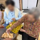 포레스트케어