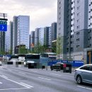 하나아파트 앞 횡단보도 | 매교역 팰루시드 - 수원 신축 아파트 분양권 매수 솔직 후기 (1편)