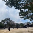 홍화문작은도서관 | 조선 궁궐 현판으로 읽는 왕실 역사 13가지 이야기