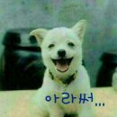 반반냉면 이미지