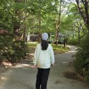 장산제일약수터 | 주말일상 장산대천공원, 폭포사, 장산체육공원