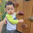 주니스어린이집 이미지