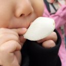 이동초등학교(병설) 이미지