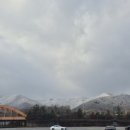 신선대 입구 임도 이미지