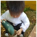 영서동막골농원