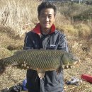 허벌라개 이미지