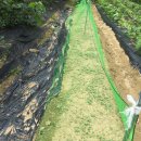 금수강산부동산중개 이미지