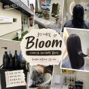 흥덕2로 65번길4R | [용인 영덕동] Bloom 영덕동 미용실 추천, 시세이도 타이메틱 클리닉으로 모발결 되살린 후기
